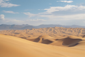 Fototapeta na wymiar Vast Wilderness: Arid Desert