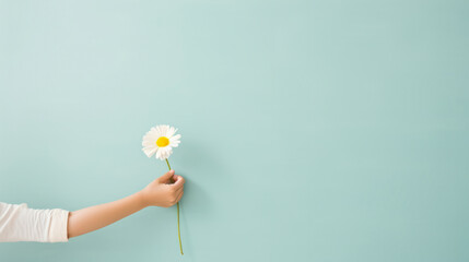 Child's hand presenting a single daisy against a soft blue background, concept of innocence and simplicity. - obrazy, fototapety, plakaty