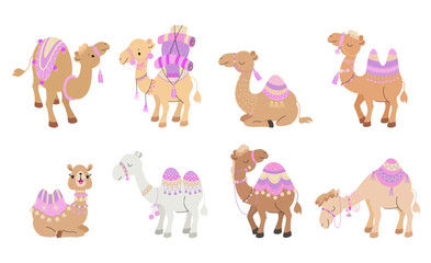Cartoon camels. Isolated camel, cute desert animals with decorative carpets. Arabian animal, wild and pets. Funny children nowaday vector characters - obrazy, fototapety, plakaty