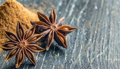 Star anise and powdered anise, copyspace on a side