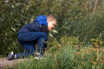 Naklejka na ściany i meble A little boy in blue clothes stumbles in nature during a trip