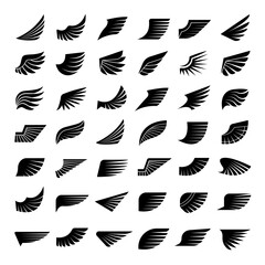Wings. Symbols of aviation or pilot emblems recent vector stylized wings collection © ONYXprj