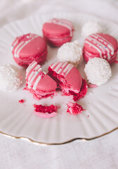 pink and white tulips, happy valentine day