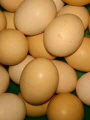 close up how many chicken eggs