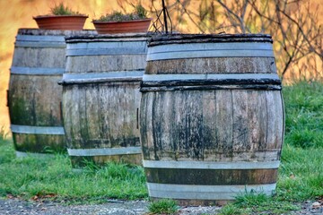 Fototapeta premium Tonneaux en Bourgogne.
