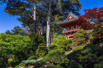 Japanese garden in San Francisco