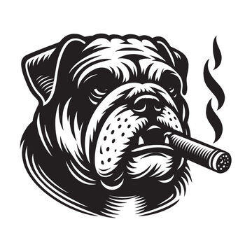 Bulldog smokes a cigar. Beautiful vintage engraving illustration, emblem, icon, logo. Black lines	
