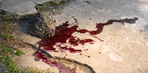 Bloodied stone lies on the ground