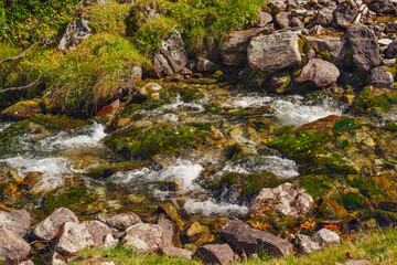 shallow alpine river with a fast flow and stones on the bank - 727986244