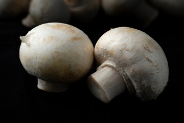 Mushrooms on a black background.Sale of mushrooms and champignons.