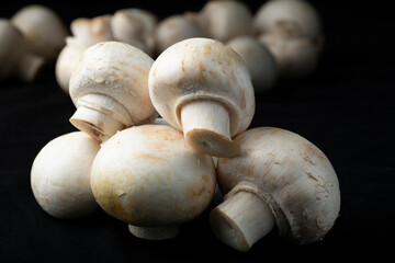 Mushrooms on a black background.Sale of mushrooms and champignons.