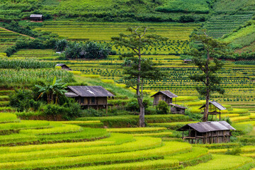 Mong people village in Mu Cang Chai District of Vietnam