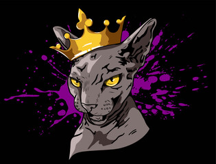 Cat in a crown with splashes on a dark background. Aggressive, evil sphinx king. Bright print on a T-shirt. Stock vector illustration.