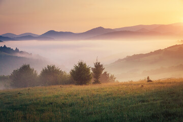 A tranquility view of the mountainous area in the haze. Carpathian National Park, Ukraine, Europe.