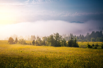 Fototapeta na wymiar Attractive view of the mountainous area in morning. Carpathian National Park, Ukraine, Europe.
