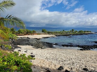 Fototapeta na wymiar beach and palm trees hawaii volcanic rock