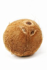One ripe, coconut on a white background with copy space