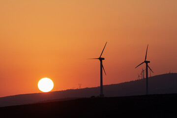 Wind power plant with the sun rising on the left