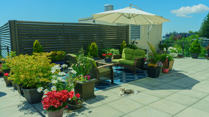 Tabby cat on patio garden with white umbrella.