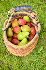Äpfel und Birnen im Korb