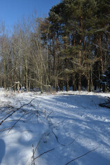 La Plaine 4 F&eacute;vrier 2024