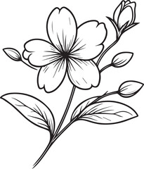 Jasmine flower vector illustration, beautiful flower bouquet, hand-drawn coloring pages and book of artistic, blossom flowers jasmine, engraved ink art, jasmine flower tattoo designs
vintage jasmine