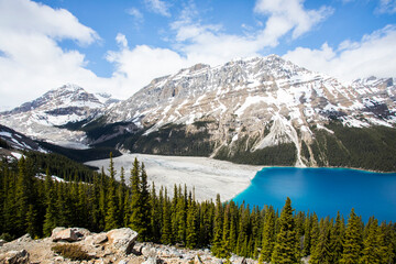 Obraz premium Summer landscape in Peyto lake, Banff National Park, Canada