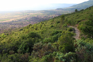 View of the garrigue and the Canyon du Diable from Roque Combarde on a June evening (St Saturnin de Lucian, Hérault, France)
