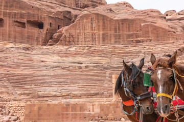 Decorated horses await their tourists in front of the Theatre at the Petra archaeological site in...