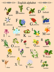 Illustration of different plants of the English alphabet. Element for print, postcard, poster, embroidery, laser cutting. Vector illustration. English alphabet.