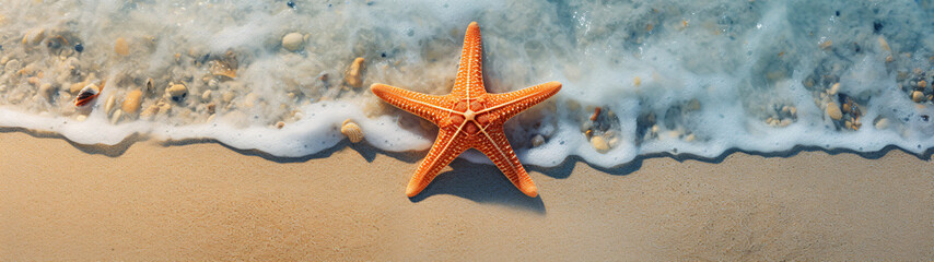 Panoramic view of starfish on the beach from above - obrazy, fototapety, plakaty