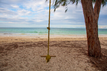 Tree swing on a tropical beach 