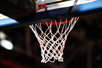Panier de basket