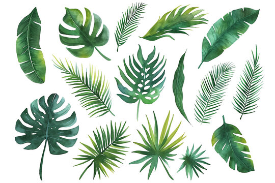 a collection of green leaves