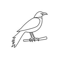 Crow single continuous one line out line vector art  drawing  and tattoo design
