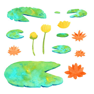 Pond plants watercoolor illustration with water lilies clipart