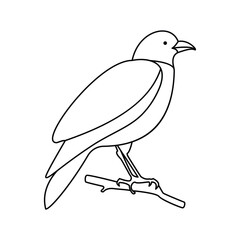 Crow single continuous one line out line vector art  drawing  and tattoo design
