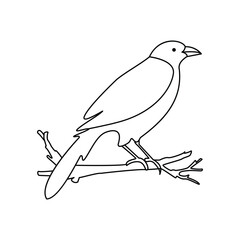 Crow single continuous one line out line vector art  drawing  and tattoo design
