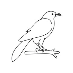 Crow single continuous one line out line vector art  drawing  and tattoo design
