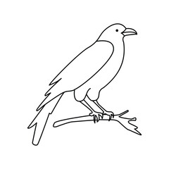 Obraz premium Crow single continuous one line out line vector art drawing and tattoo design 