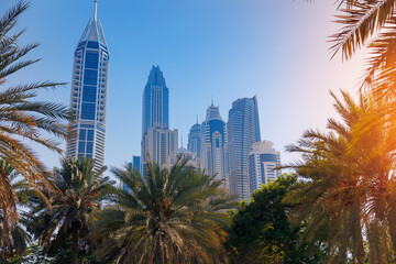 Cityscape of Dubai, summer park with palm and skyscrapers, sunlight. Amazing view skyline. Concept travel tourism in UAE