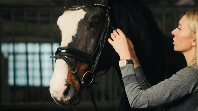 Blonde equestrian showcasing the process of putting on a bridle