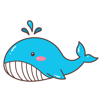 whale doodle cartoon