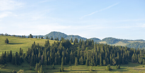 Fototapeta premium Wonderful nature scenery with forested rolling hills and green grassy meadows in morning light. Wanderlust travel concept
