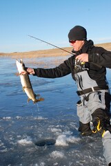 Ice angler landing a northern pike 