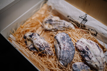 Sotogrante, Spain - January 27, 2024 - Fresh oysters in a box with straw packing.