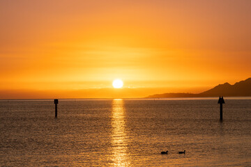 Fototapeta premium Sunset at Maunalua Bay Beach Park, Hawaii Kai, Honolulu Oahu. two ducks