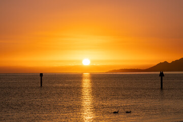 Fototapeta premium Sunset at Maunalua Bay Beach Park, Hawaii Kai, Honolulu Oahu. two ducks