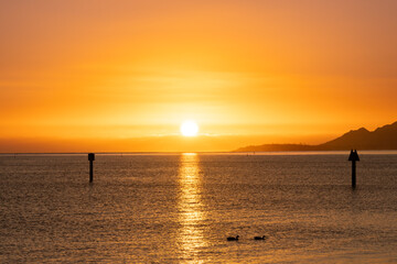 Sunset at Maunalua Bay Beach Park, Hawaii Kai, Honolulu Oahu.  two ducks