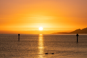 Fototapeta premium Sunset at Maunalua Bay Beach Park, Hawaii Kai, Honolulu Oahu. two ducks